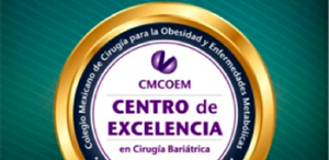 centro excelencia 1 300x146 1