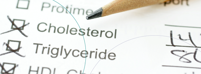 Triglycerides Cholesterol